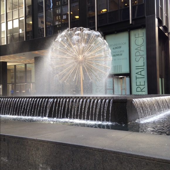 Meet your Posher, Liz - Picture 2 of 2