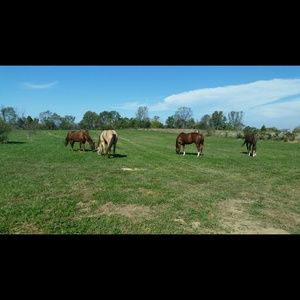 Meet your Posher, Casey