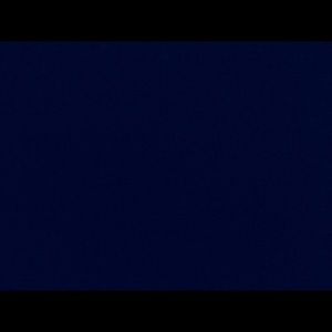 Meet your Posher, Riley