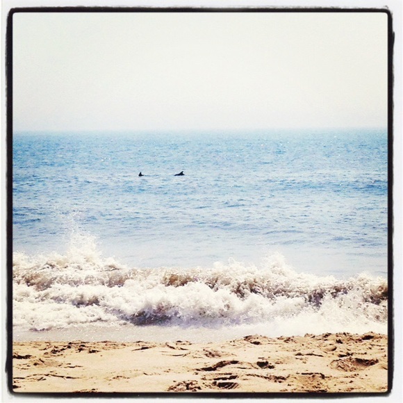 Meet your Posher, Holly - Picture 2 of 2