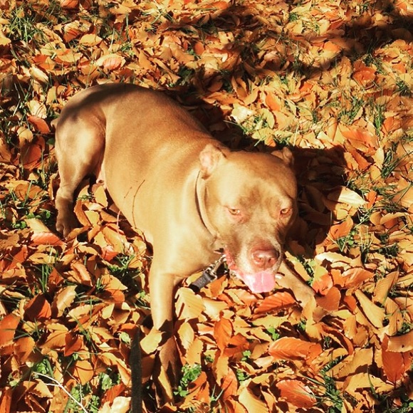 Meet your Posher, Stephanie - Picture 1 of 1