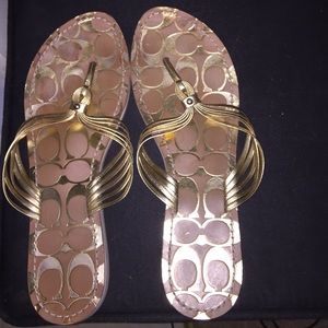 Coach flip flops