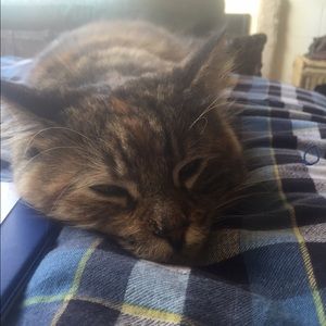 Meet your Posher, Melinda