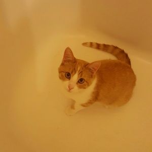 Meet your Posher, Nancy