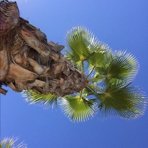 Meet your Posher, Peyton