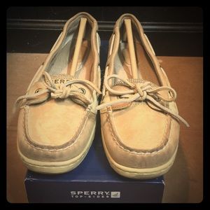 Angelfish Sperry