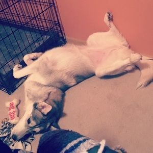 Meet your Posher, Katy