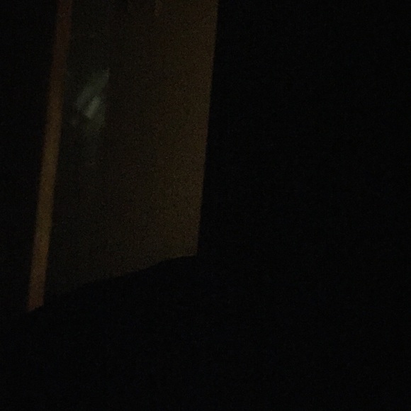 Meet your Posher, Holly