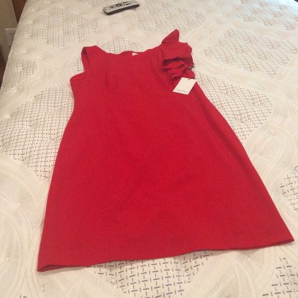 Sassy red dress. Perfect for the holidays!