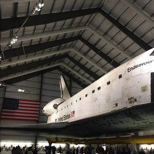 Meet your Posher, Pauline