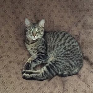 Meet your Posher, Cody