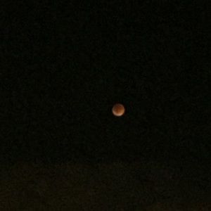 Meet your Posher, Kenneth