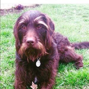 Meet your Posher, Kerry