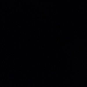 Meet your Posher, Roselle