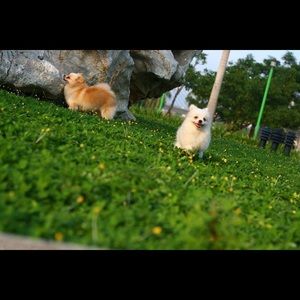 Meet your Posher, Eileen