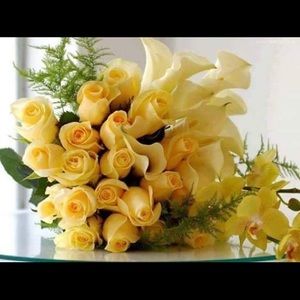 Meet your Posher, Esther