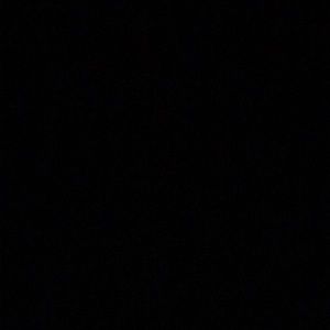 Meet your Posher, Mackenzie