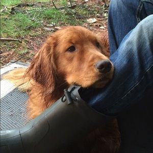 Meet your Posher, Noemi