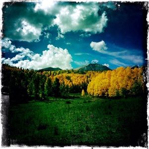 Meet your Posher, Vicki