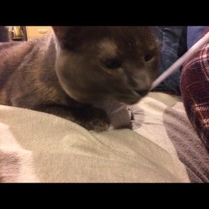 Meet your Posher, Heather