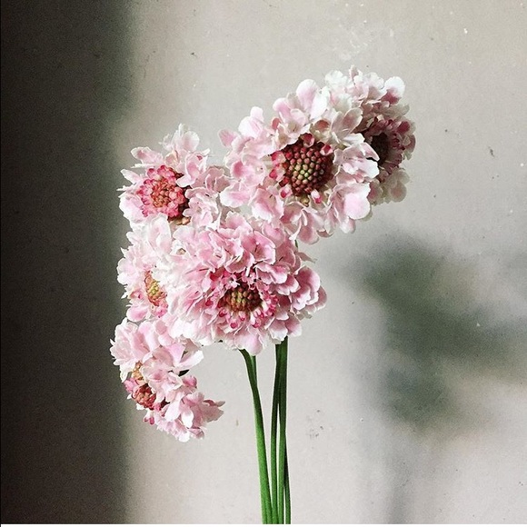 Meet your Posher, Yuliya - Picture 1 of 1