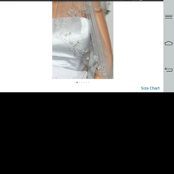 Wedding Veil