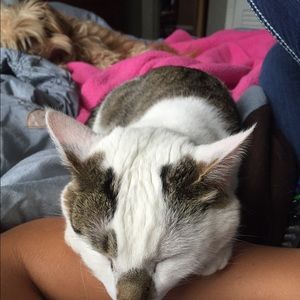 Meet your Posher, Corinna