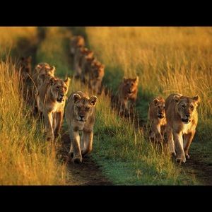 Meet your Posher, Brian