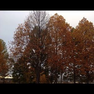 Meet your Posher, Sami