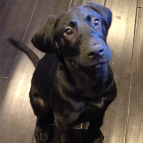 Meet your Posher, Laura