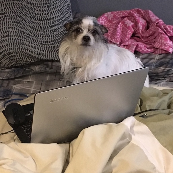 Meet Your Posher! - Picture 2 of 4