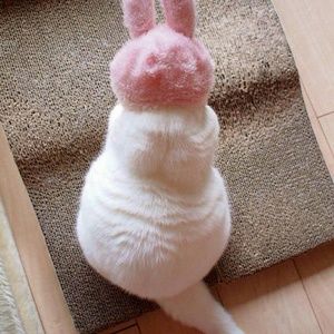 Meet your Posher, Xinran