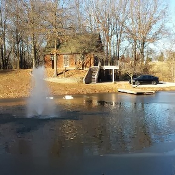 Meet your Posher, Michael - Picture 1 of 1