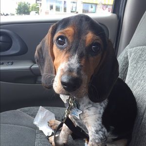 Meet your Posher, Ashley