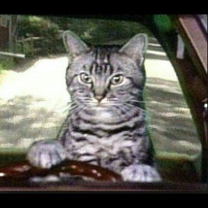 Meet your Posher, Robin