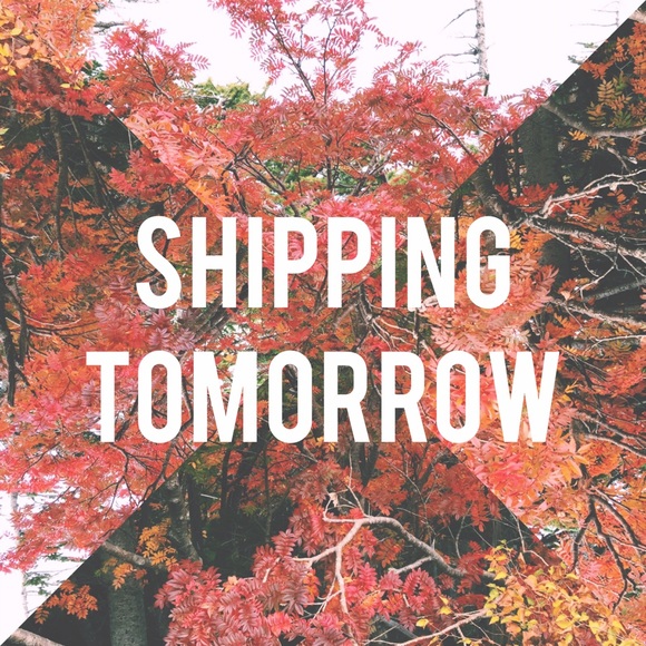 Shipping tomorrow! - Picture 1 of 1