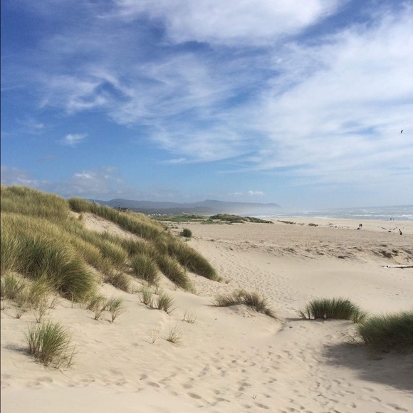 Meet your Posher, Sonia - Picture 4 of 4