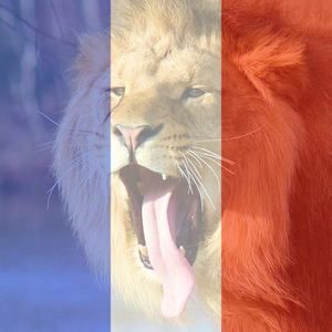 Meet your Posher, Mackenzie