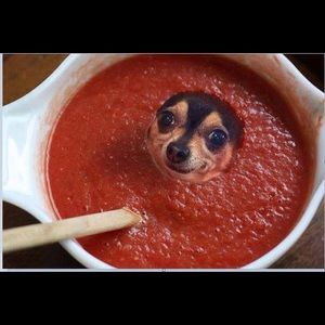 Meet your Posher, Cody