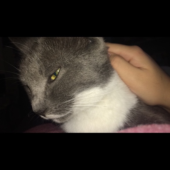 Meet your Posher, Jordan - Picture 1 of 1