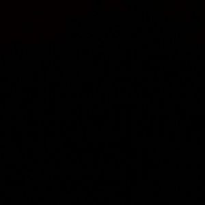 Meet your Posher, Cee Cee