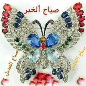 Meet your Posher, Samihah