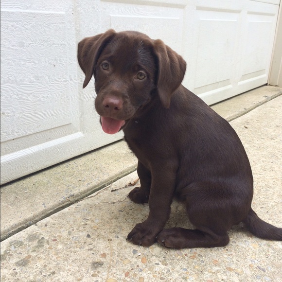 Meet your Posher, Kelsey