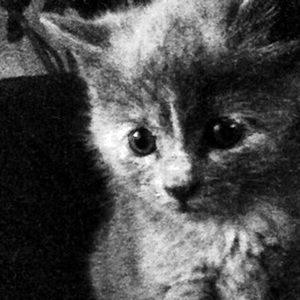 Meet your Posher, Jordyn