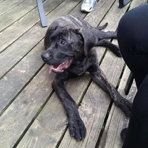 Meet your Posher, Paula