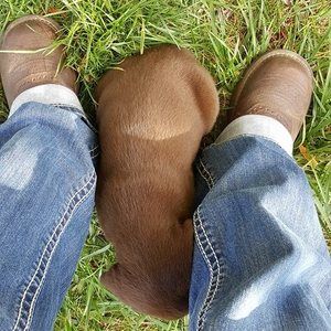 Meet your Posher, Tonya