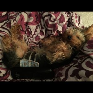 Meet your Posher, Mariah