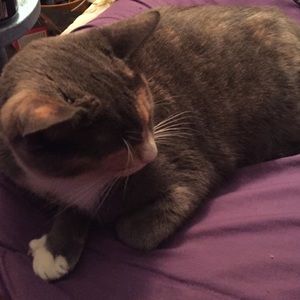 Meet your Posher, Samantha