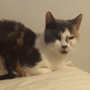 Meet your Posher, Olivia