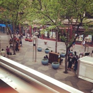 Meet your Posher, Diane